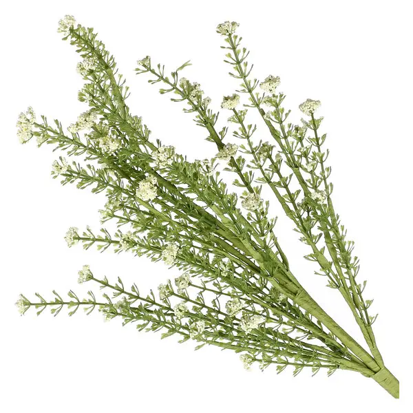 Cream Anna Artificila Flower 50H cm 2 Image