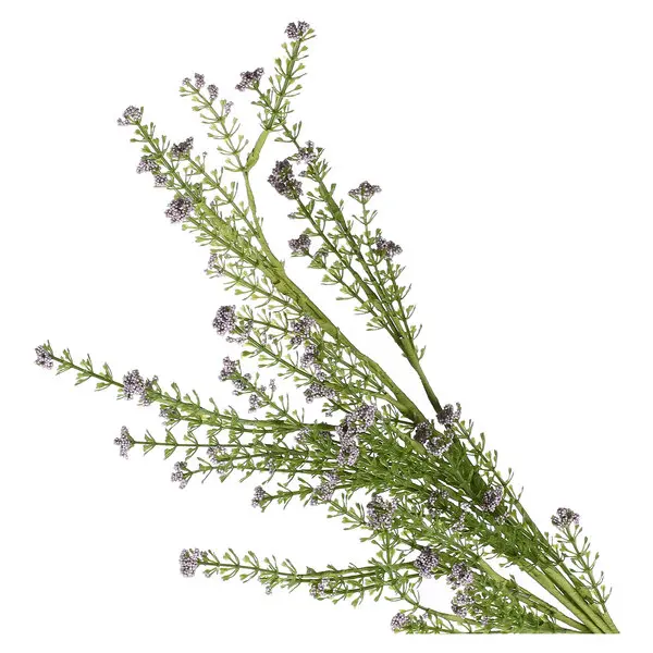 Lilac Anna Artificila Flower 50H cm 2 Image