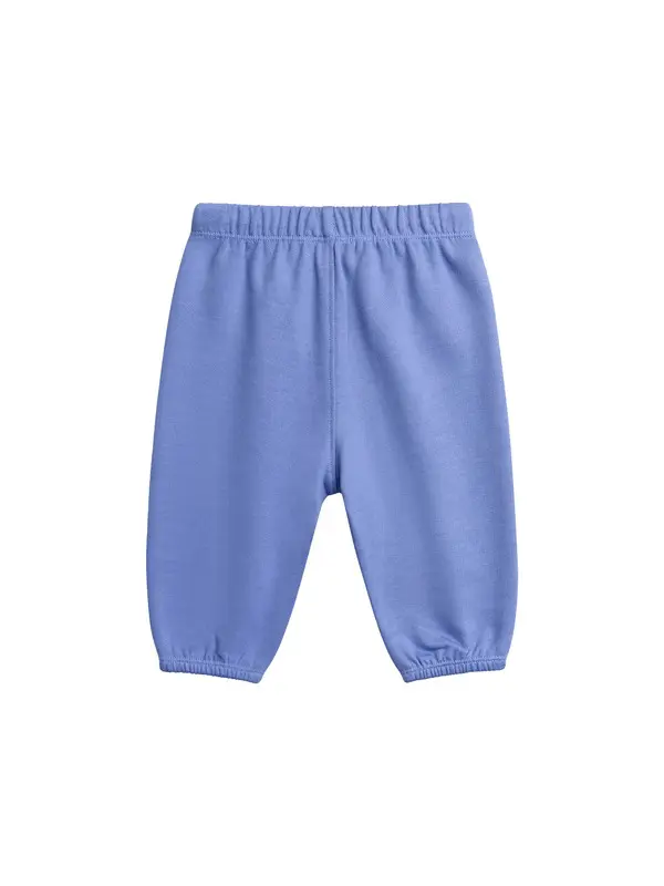 Kids Baby Boy Two-Piece Sweatshirt And Joggers Set With Animal Graphics 2 Image