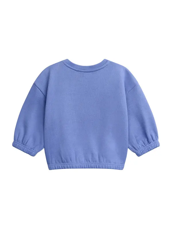 Kids Baby Boy Two-Piece Sweatshirt And Joggers Set With Animal Graphics 4 Image