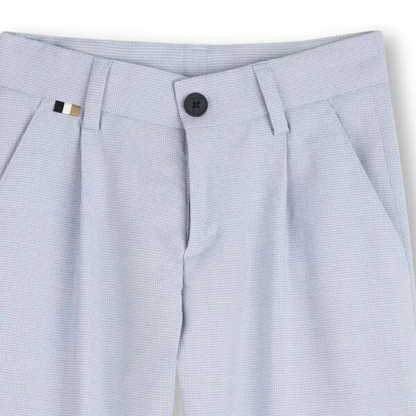 Linen Blend Pleated Suit Pants 1 Image