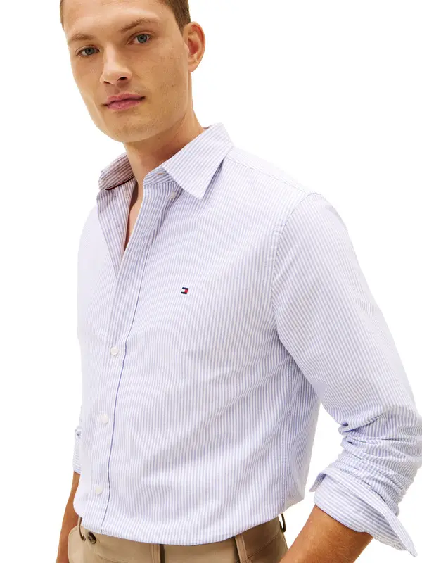 Regular Fit Stripe Oxford Shirt 2 Image