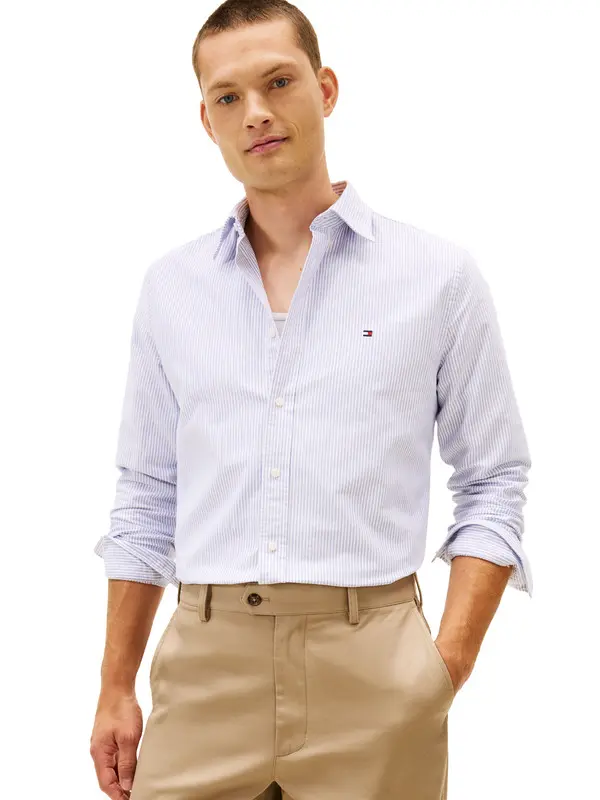 Regular Fit Stripe Oxford Shirt 3 Image