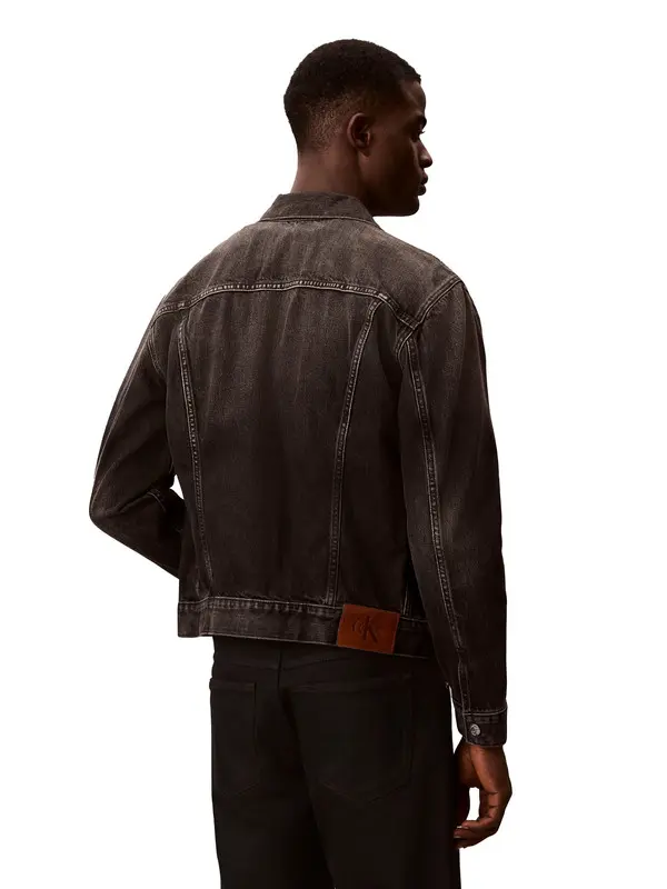 Regular Fit Classic Collar Jacket 1 Image