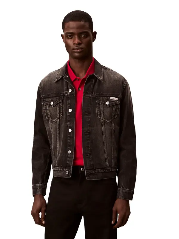 Regular Fit Classic Collar Jacket 2 Image