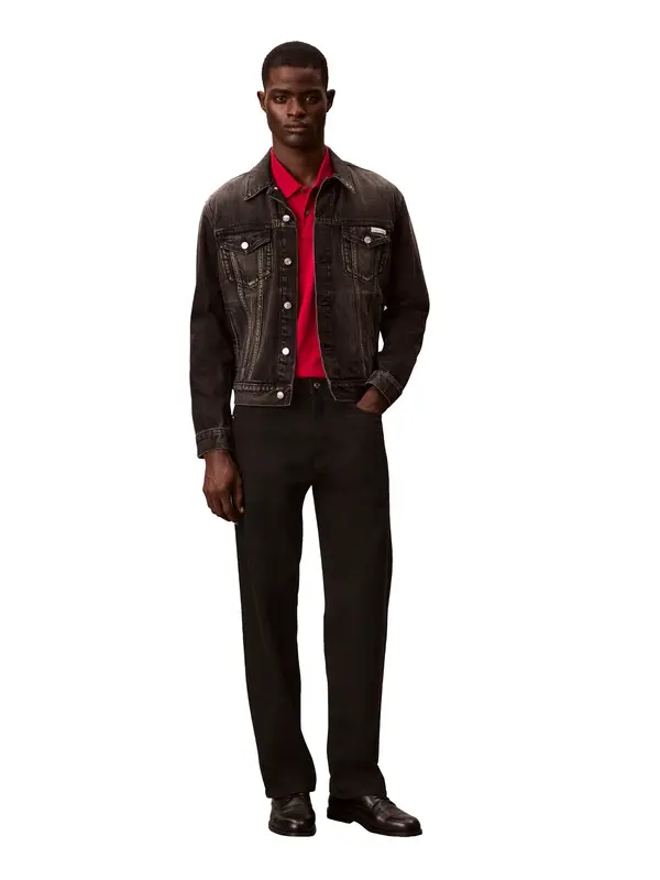 Regular Fit Classic Collar Jacket 3 Image