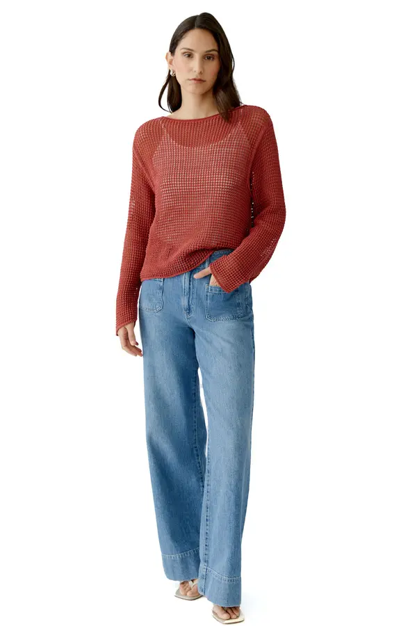 Semi-transparent Long Sleeve Top 1 Image