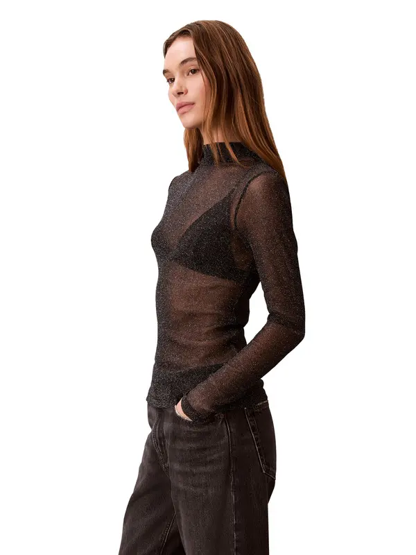 Shimmer Sheer Turtleneck Top 1 Image