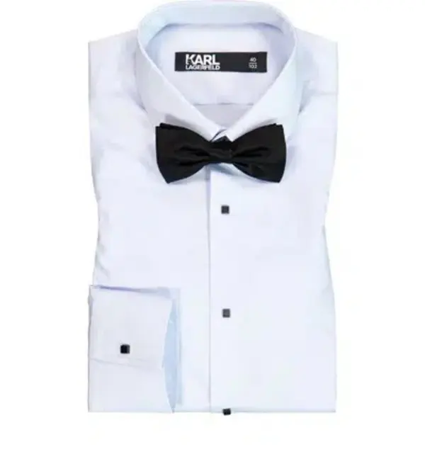 Silk Bow Tie 1 Image