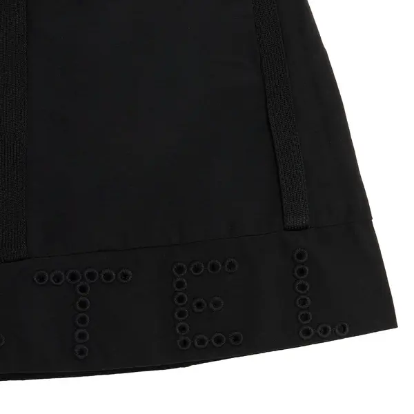 Skirt 2 Image