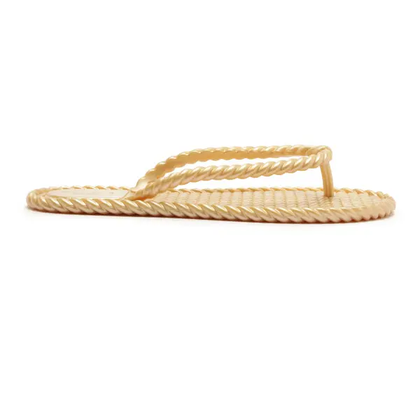 Moroccan Jelly Golden Slipper 1 Image