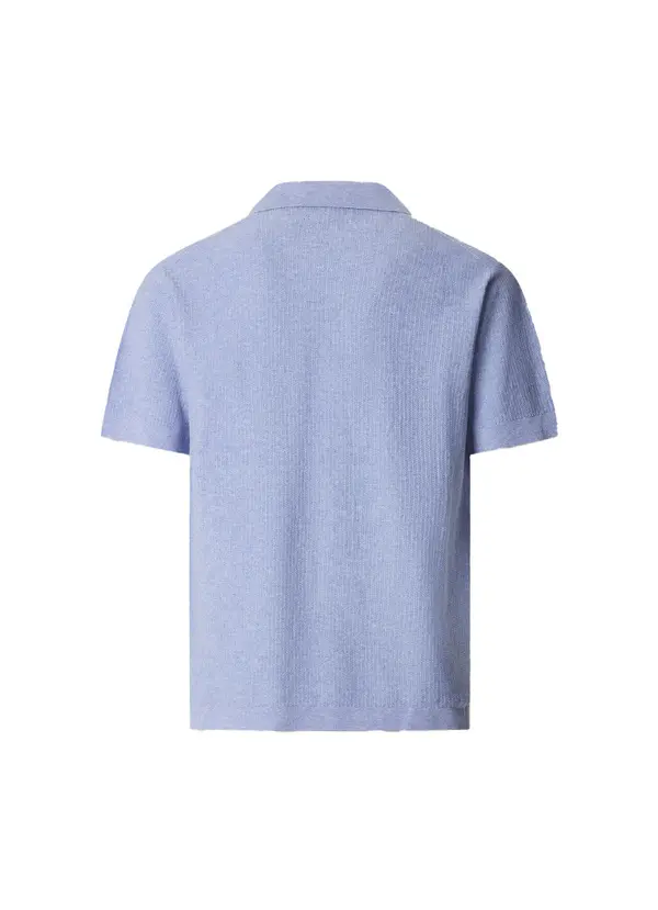 Textured Knitted Short Sleeve Polo 1 Image