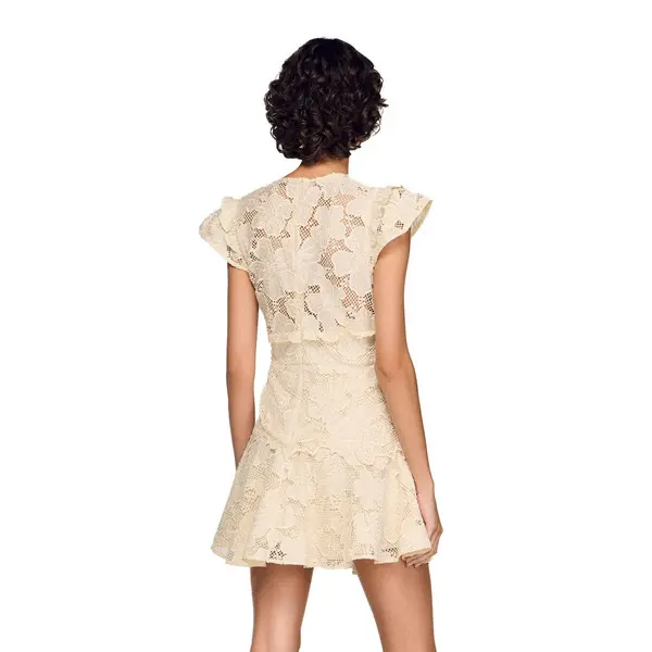 Short Guipure V-neck Short Sleeve Dress 1 Image
