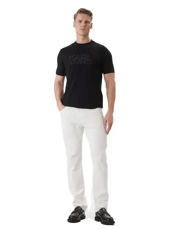 Regular Fit T - Shirtwith Raised Logo Graphic 2 Image
