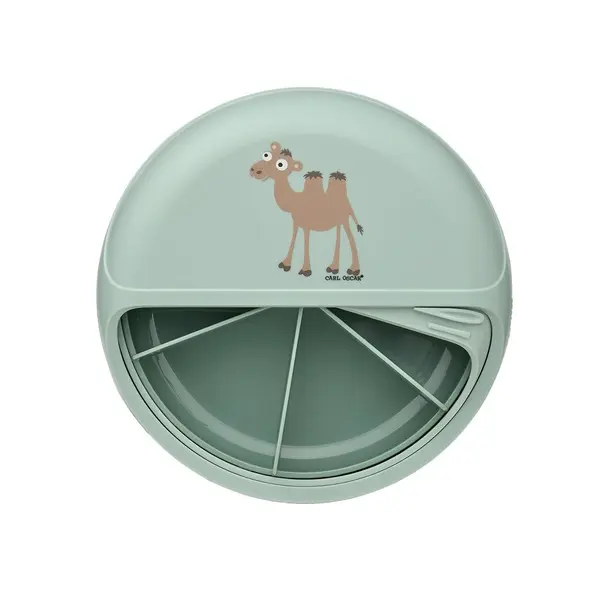 Minidisc - Green-Camel 1 Image