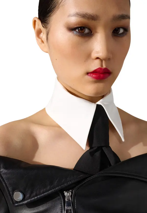 Detachable Collar and Scarf Tie 1 Image